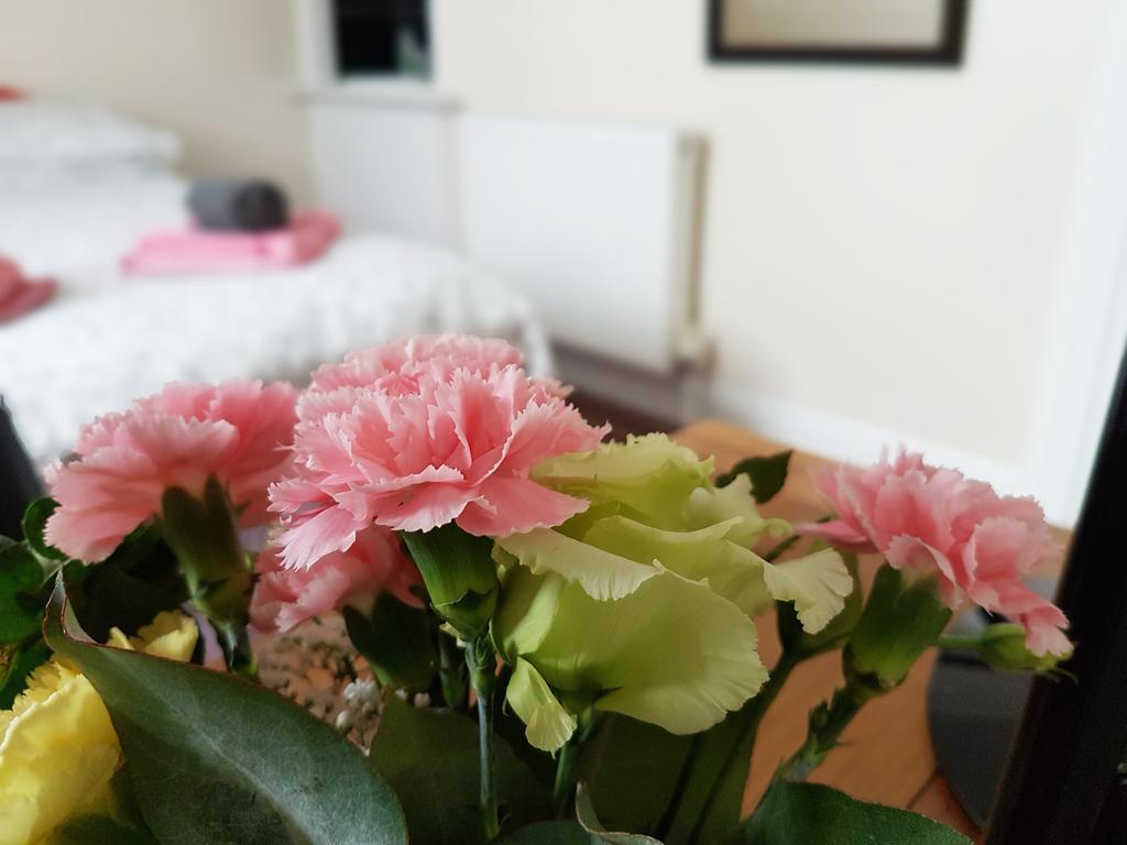 Alara Bed And Breakfast Sheffield Eksteriør bilde